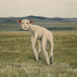 Thornapple – Animal (동물)