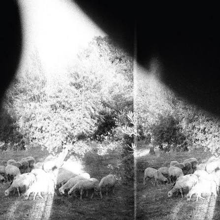 Godspeed You! Black Emperor – Asunder Sweet & Other Distress