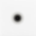 Woo – Black Out
