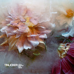 Tinlicker – Cold Enough For Snow