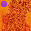 Nubiyan Twist – Find Your Flame LP