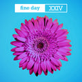 Opus III – Fine Day XXIV