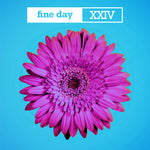 Opus III – Fine Day XXIV