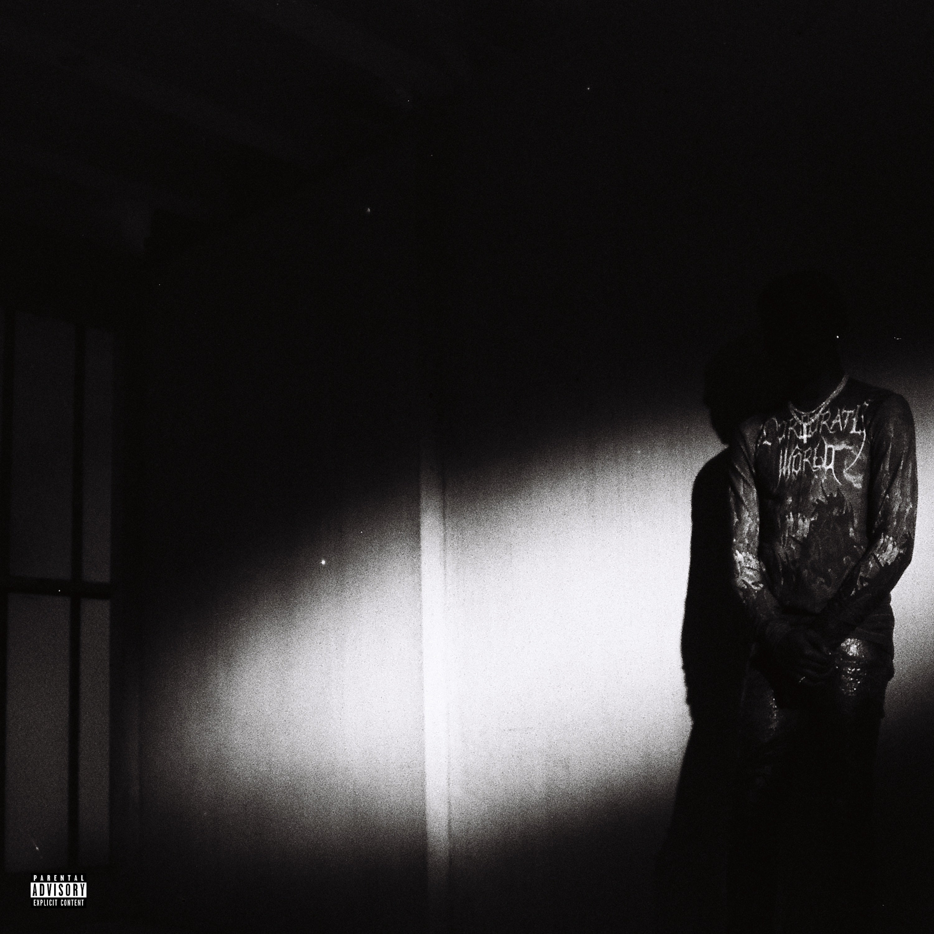 DESTROY LONELY – No Stylist 2LP