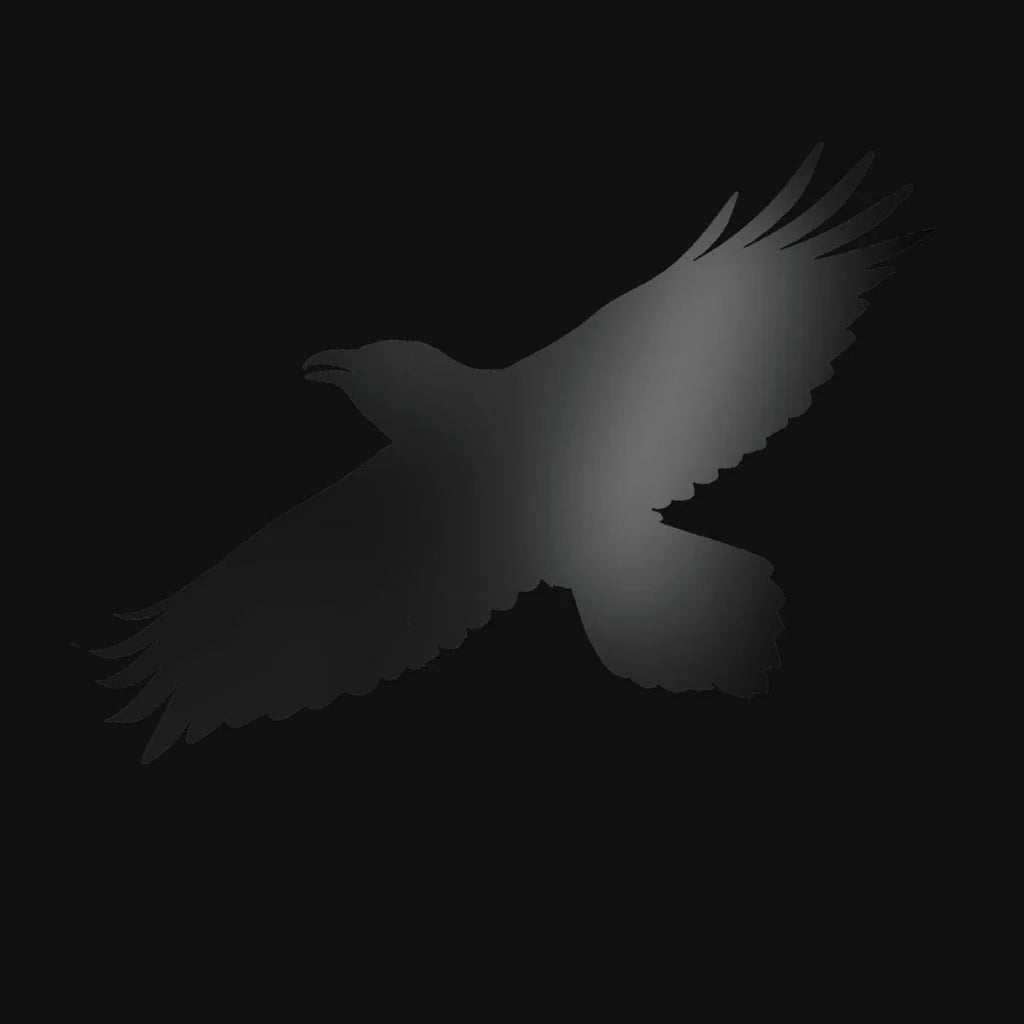 Sigur Rós with Steindór Andersen / Hilmar Örn Hilmarsson / María Huld Markan Sigfúsdóttir – Odin's Raven Magic
