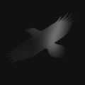 Sigur Rós with Steindór Andersen / Hilmar Örn Hilmarsson / María Huld Markan Sigfúsdóttir – Odin's Raven Magic