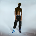 Danny Brown - Stardust vinyl record cover