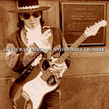 Stevie Ray VAUGHAN / DOUBLE TROUBLE - Live At Carnegie Hall