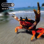 The Prodigy – The Fat Of The Land