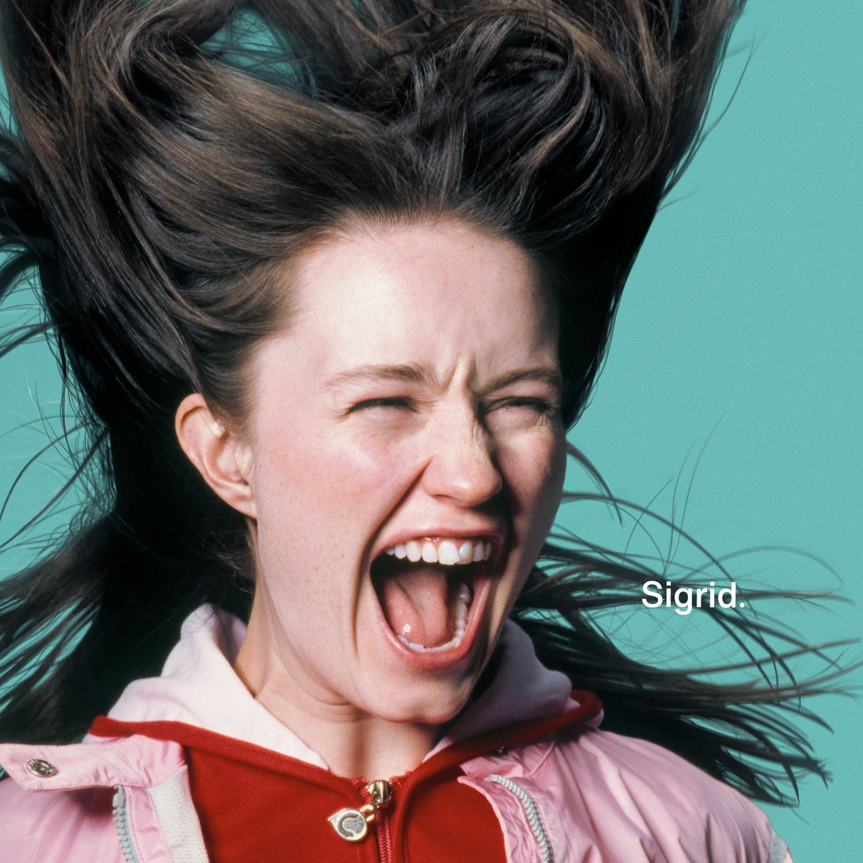 SIGRID – There's Always More That I Could Say