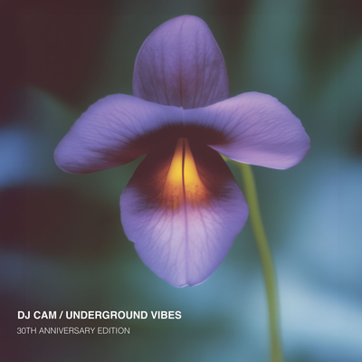 DJ CAM - Underground Vibes